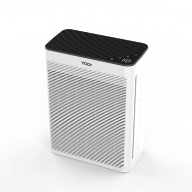 Hepa Air Purifier with True HEPA Filter and Activated Carbon Filter, Portable Home Air Purifier Australia