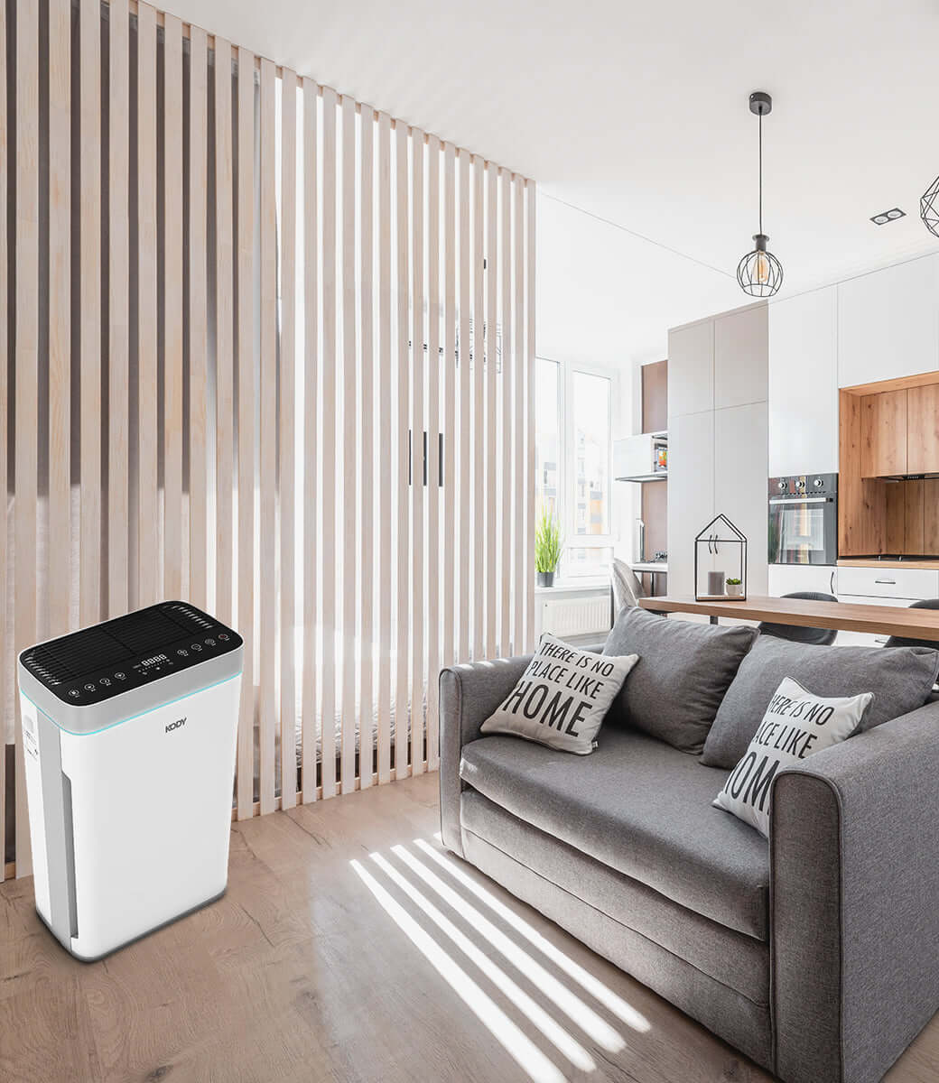 Hepa Air Purifier with True HEPA Filter and Activated Carbon Filter, Home Or Commercial Air Purifier Australia